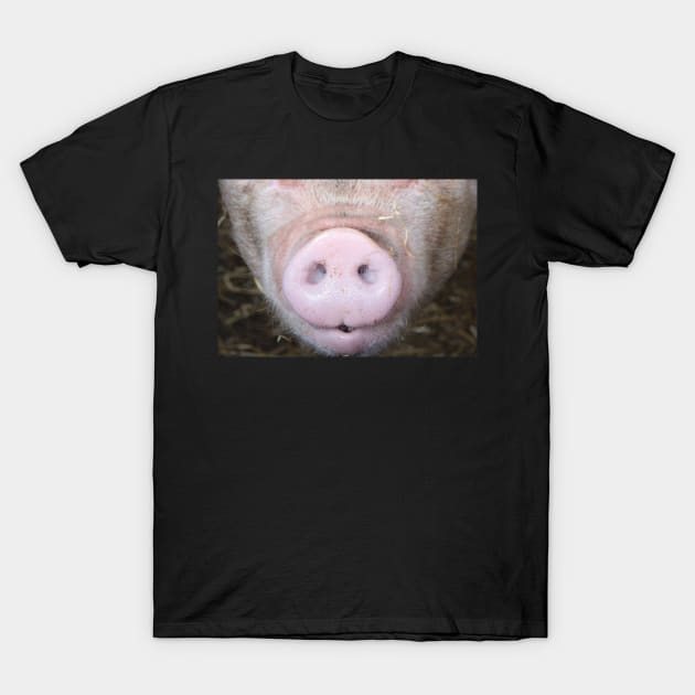 Pig Snout Hog Face T-Shirt by ArtedPool